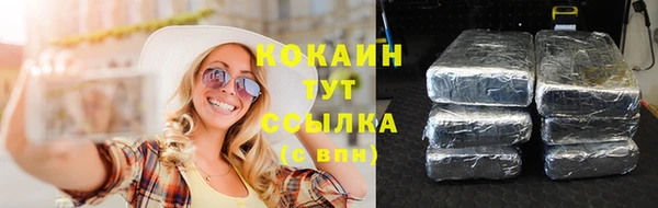 сатива Абдулино