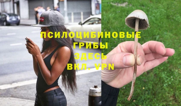 сатива Абдулино