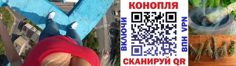 Бошки марихуана тримм  наркошоп  Чулым 